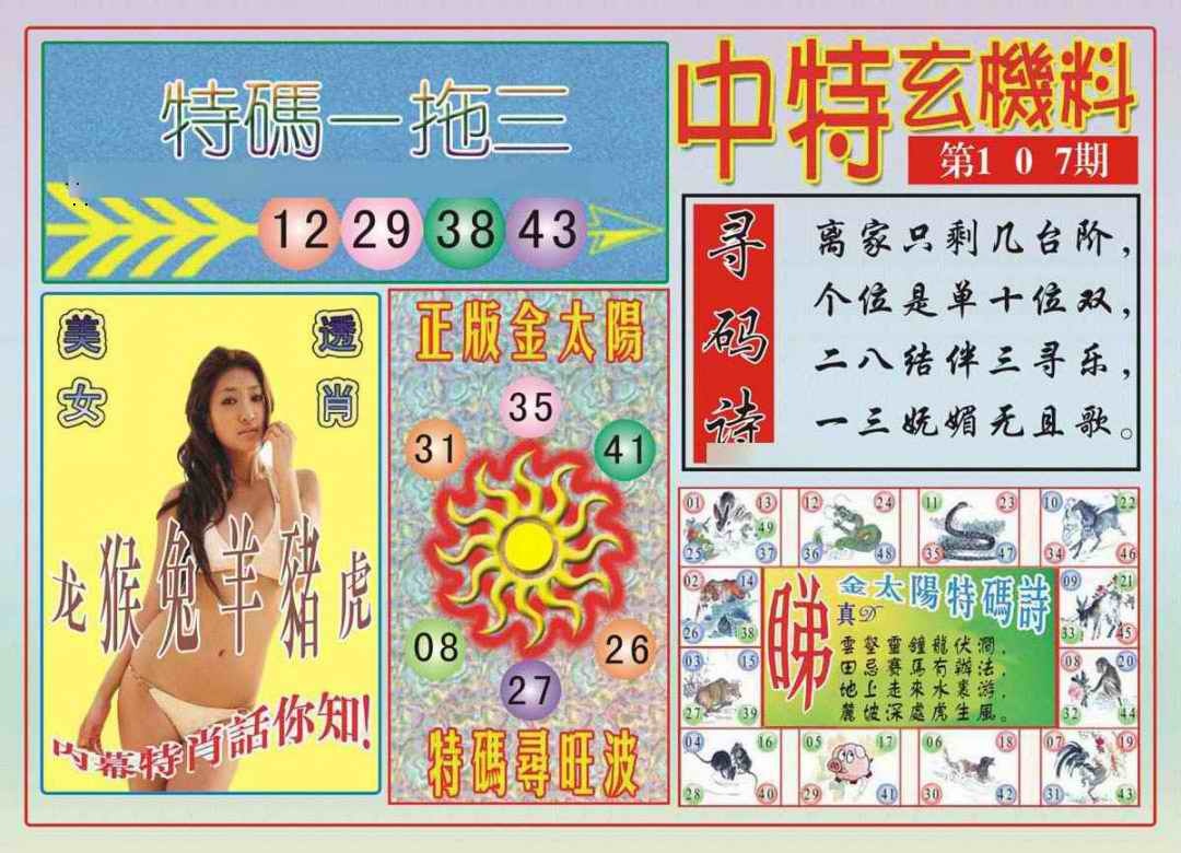 中特玄机